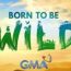 Born To Be Wild November 24 2024